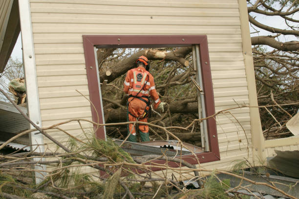 How Our Tree Care Process Works  in  Shreve, OH